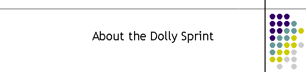 About the Dolly Sprint
